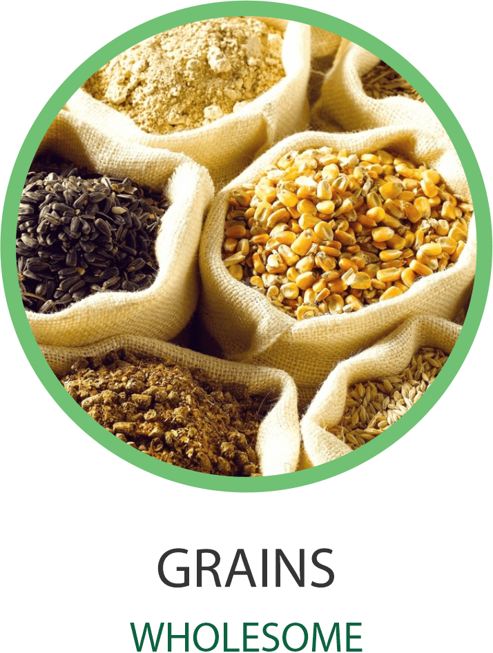 Wholesome Grains